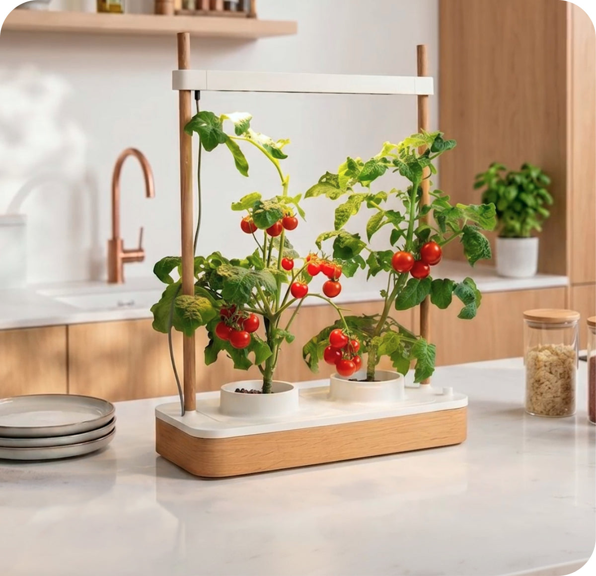 Store plantepotter